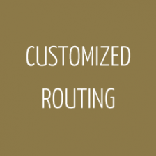 0001_customized_routing