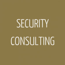 0007_security_consulting